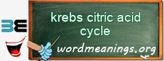 WordMeaning blackboard for krebs citric acid cycle
